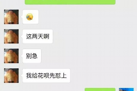 东丰专业催债公司的市场需求和前景分析